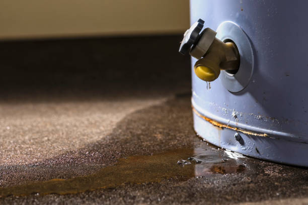 Best Water damage mitigation services  in Wausau, WI