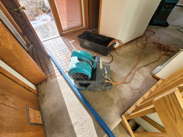 Best Ceiling water damage repair  in Wausau, WI
