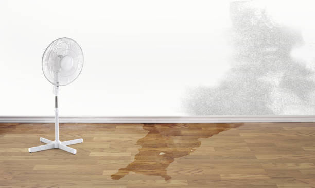 Best 24-hour water damage restoration  in Wausau, WI