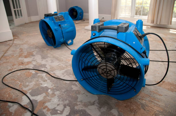 Best Emergency water damage restoration  in Wausau, WI